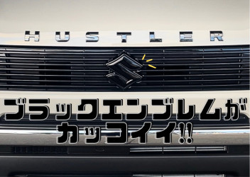 タフワイルドのおすすめオプション★☆